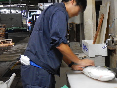 青森魚類 株式会社
